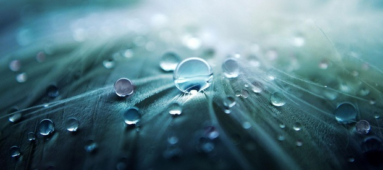 The role of hydrogen in a decarbonised economy